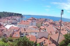 2016-hog-rally-portoroz-079
