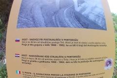 2016-hog-rally-portoroz-089
