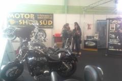 2016-pannonia-custom-show-002