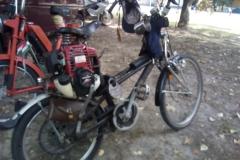 2018-pirates-family-mc-004