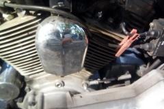 2018-pirates-family-mc-008