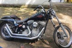 2018-pirates-family-mc-019