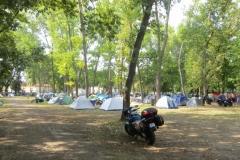 2018-pirates-family-mc-022