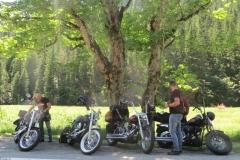 2019-zz-top-burg-claim-austria-003