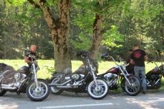 2019-zz-top-burg-claim-austria-004